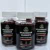 Mushroom Gummies - 10 Blend (60 count)