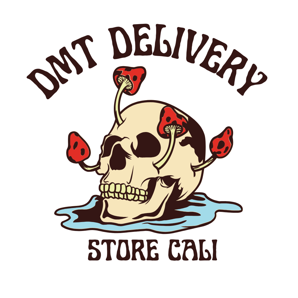 DMT DELIVERY STORE